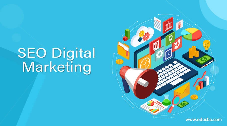 SEO & Digital Marketing